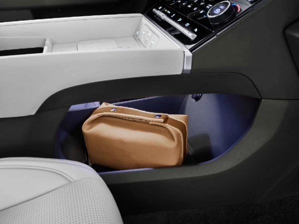 Hyundai Santa Fe campanha novos cardan