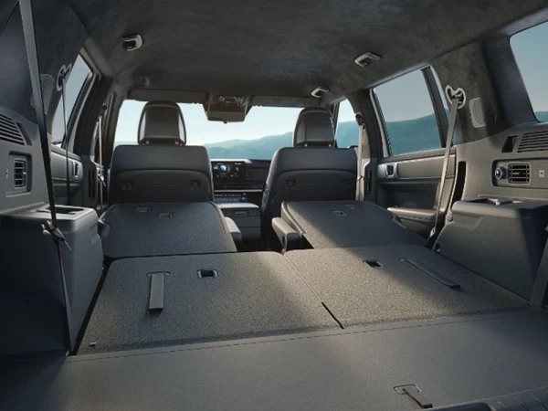 Hyundai Santa Fe campanha novos cardan