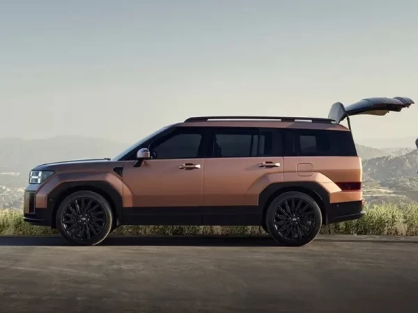 Hyundai Santa Fe campanha novos cardan