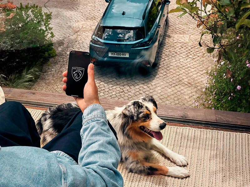 app peugeot novo peugeot e-308